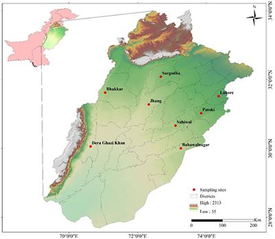 Infection Dynamics of Clostridium perfringens Fingerprinting in Buffalo and Cattle of Punjab Province, Pakistan